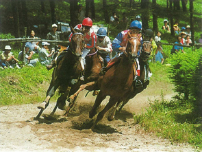 高ボッチ高原観光草競馬大会