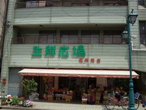 0155-1.jpg